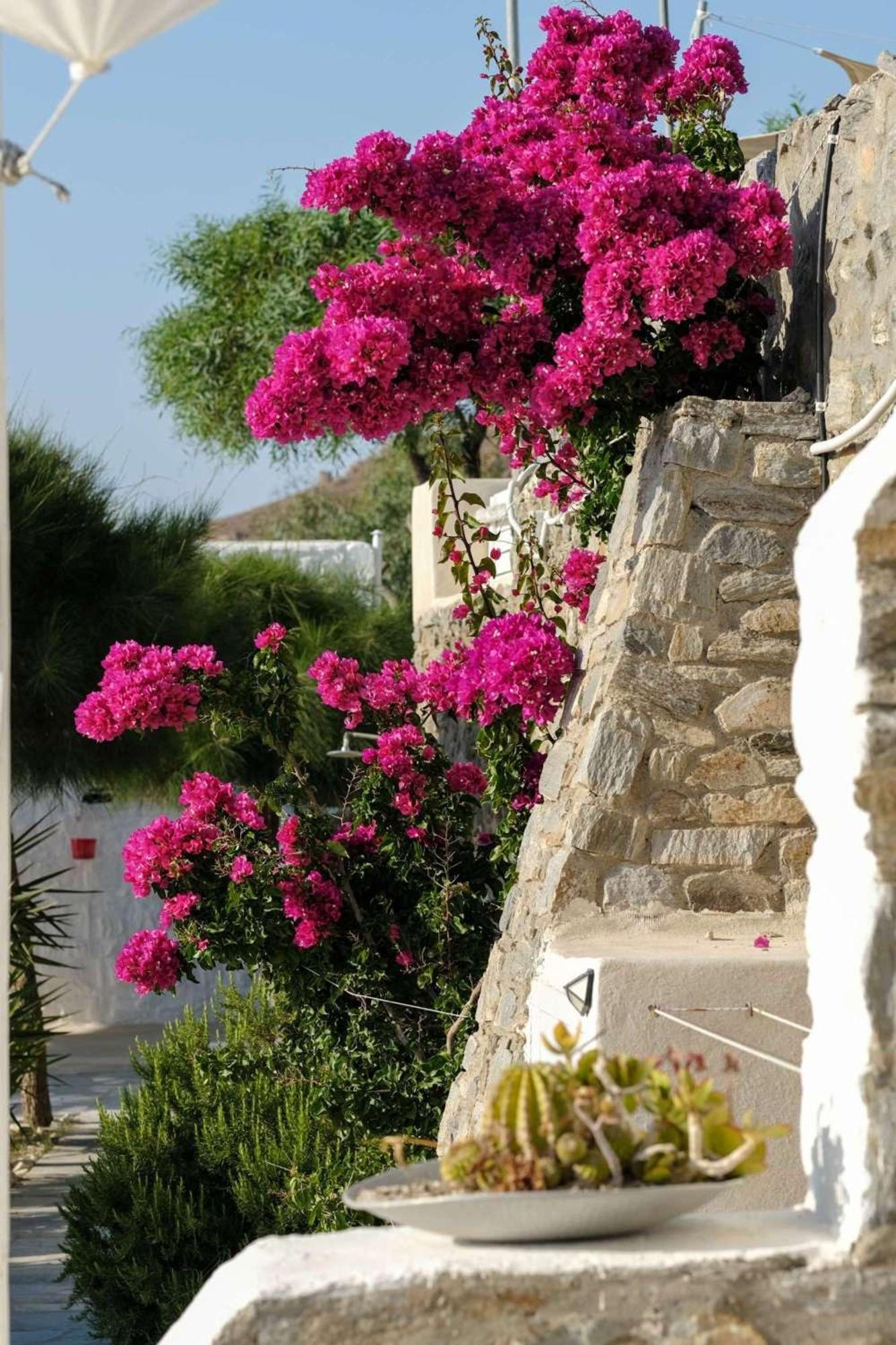 3 Paros *All Season* Villas Exterior foto